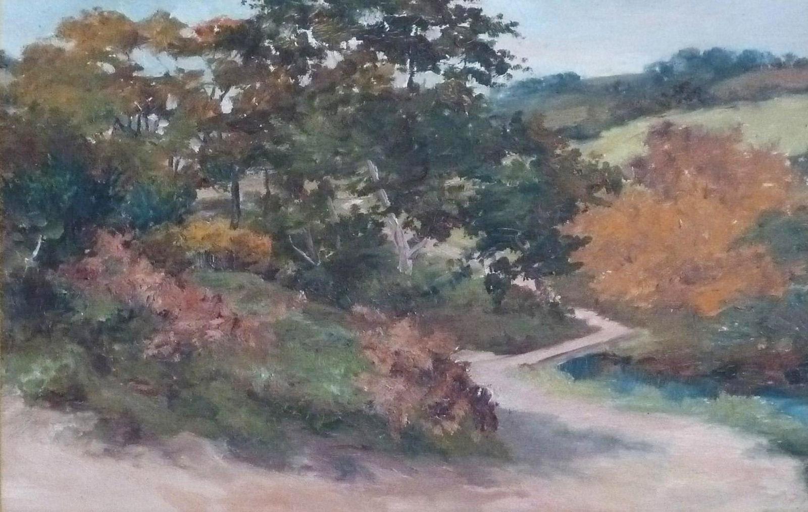 Autumn woodland