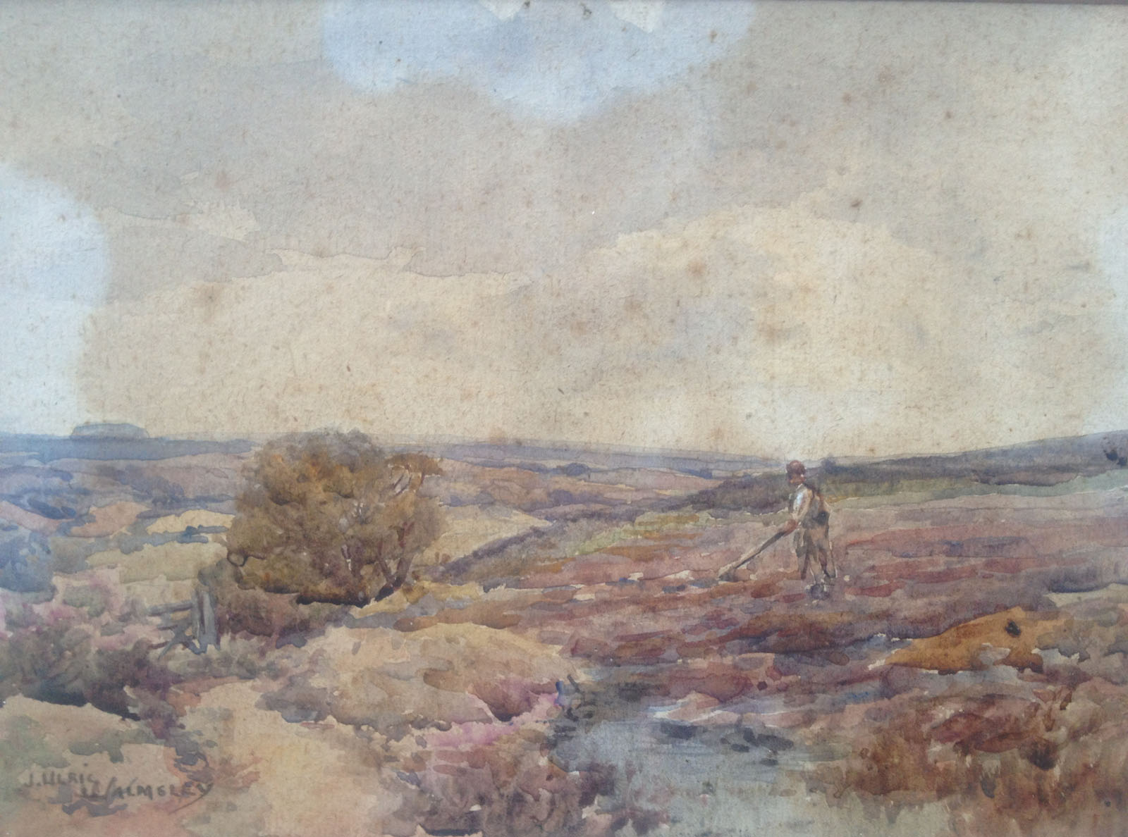 The moors