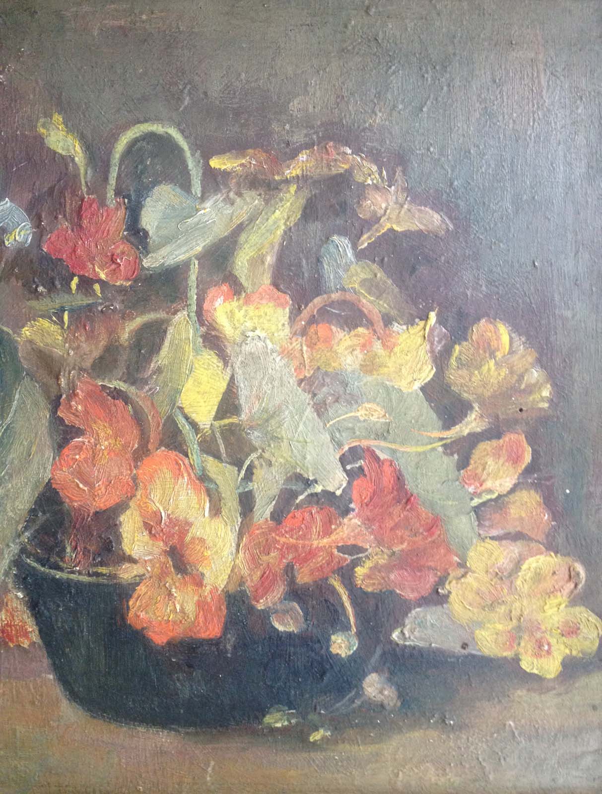 Bowl of nasturtiums