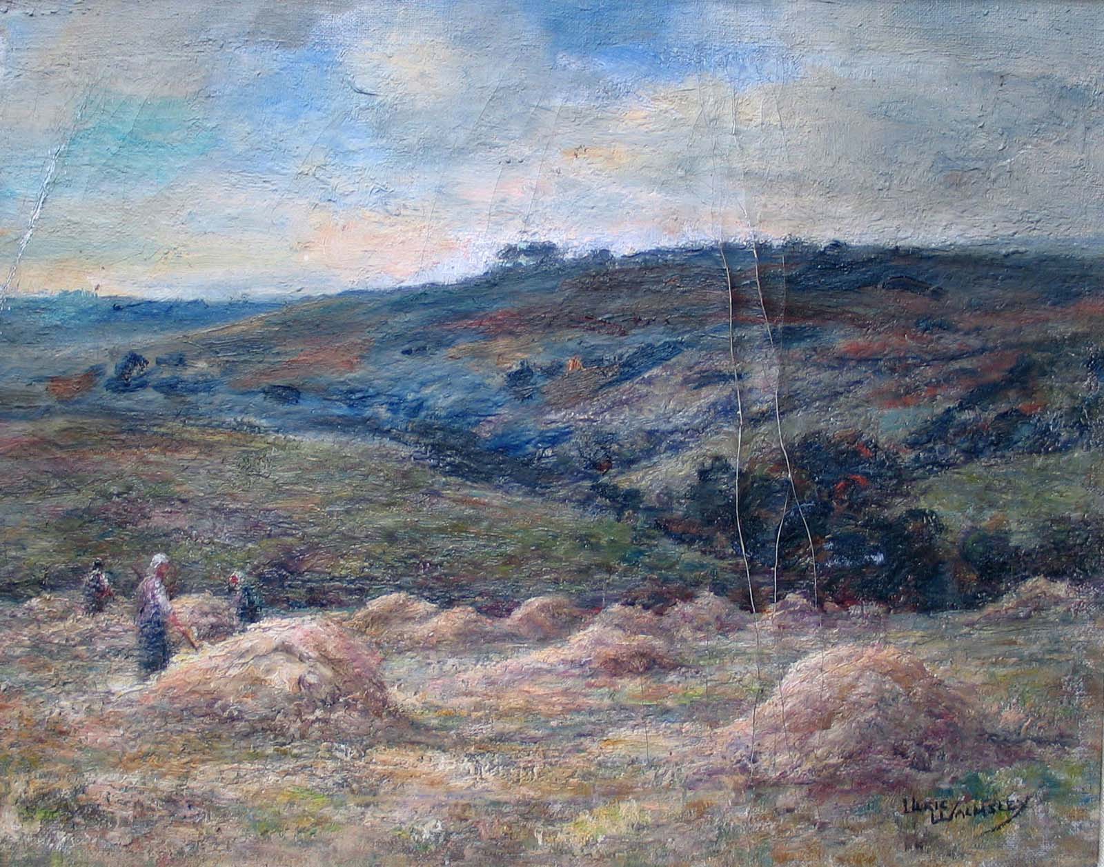 Wheatfield