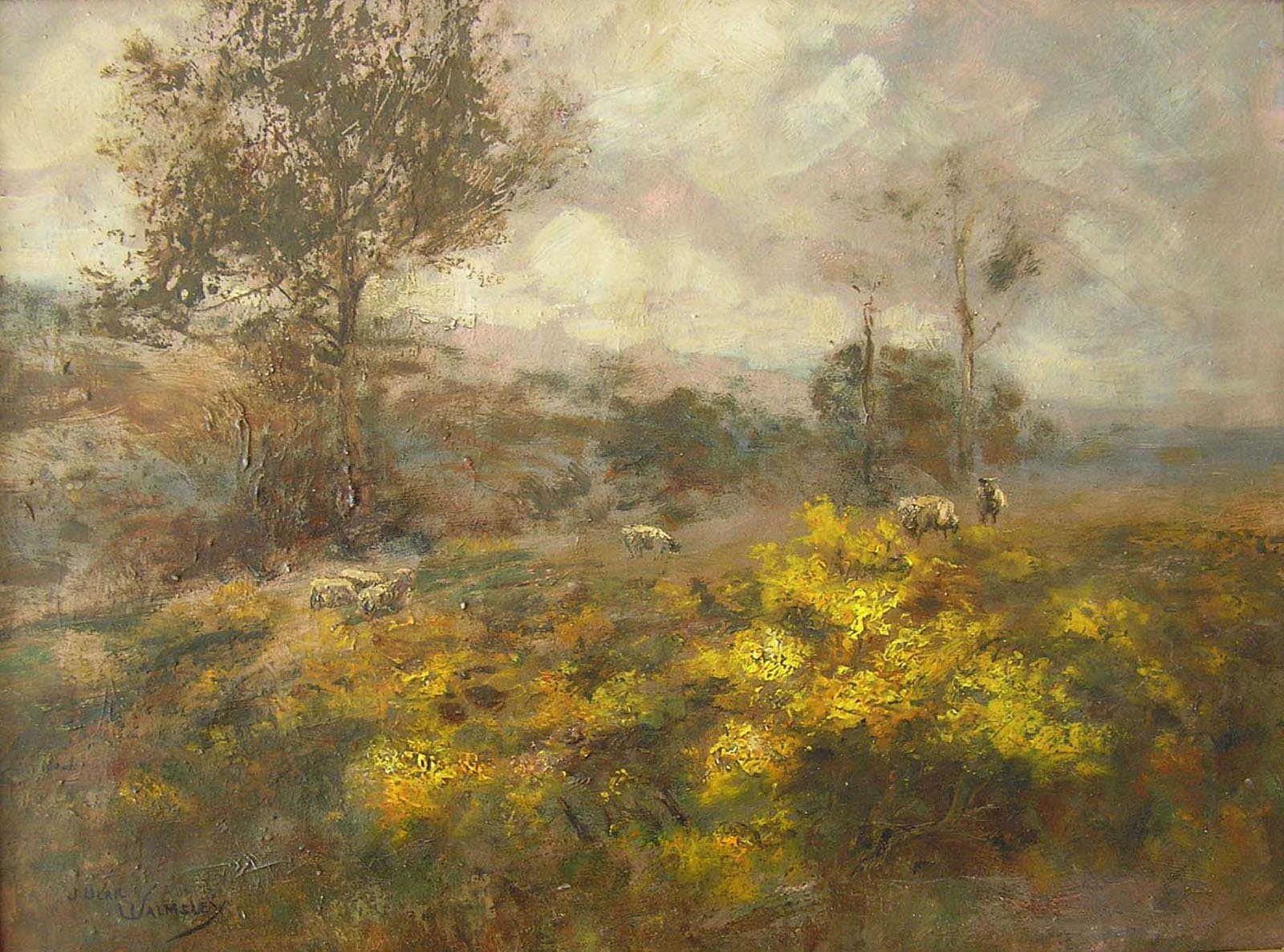 Sheep on moors