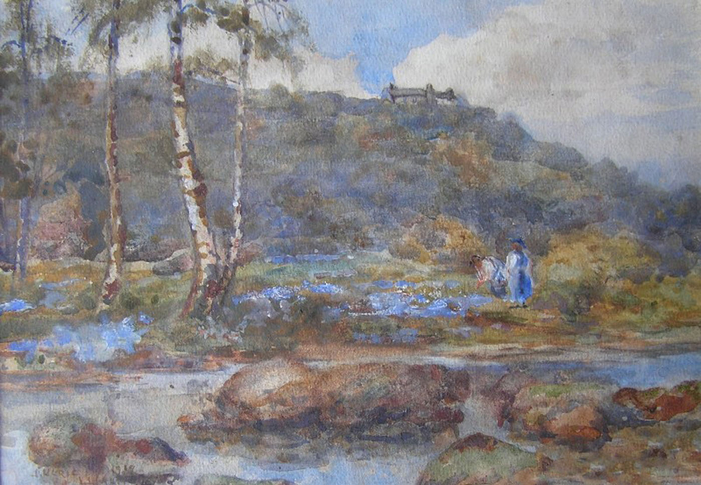 Bluebells by stream