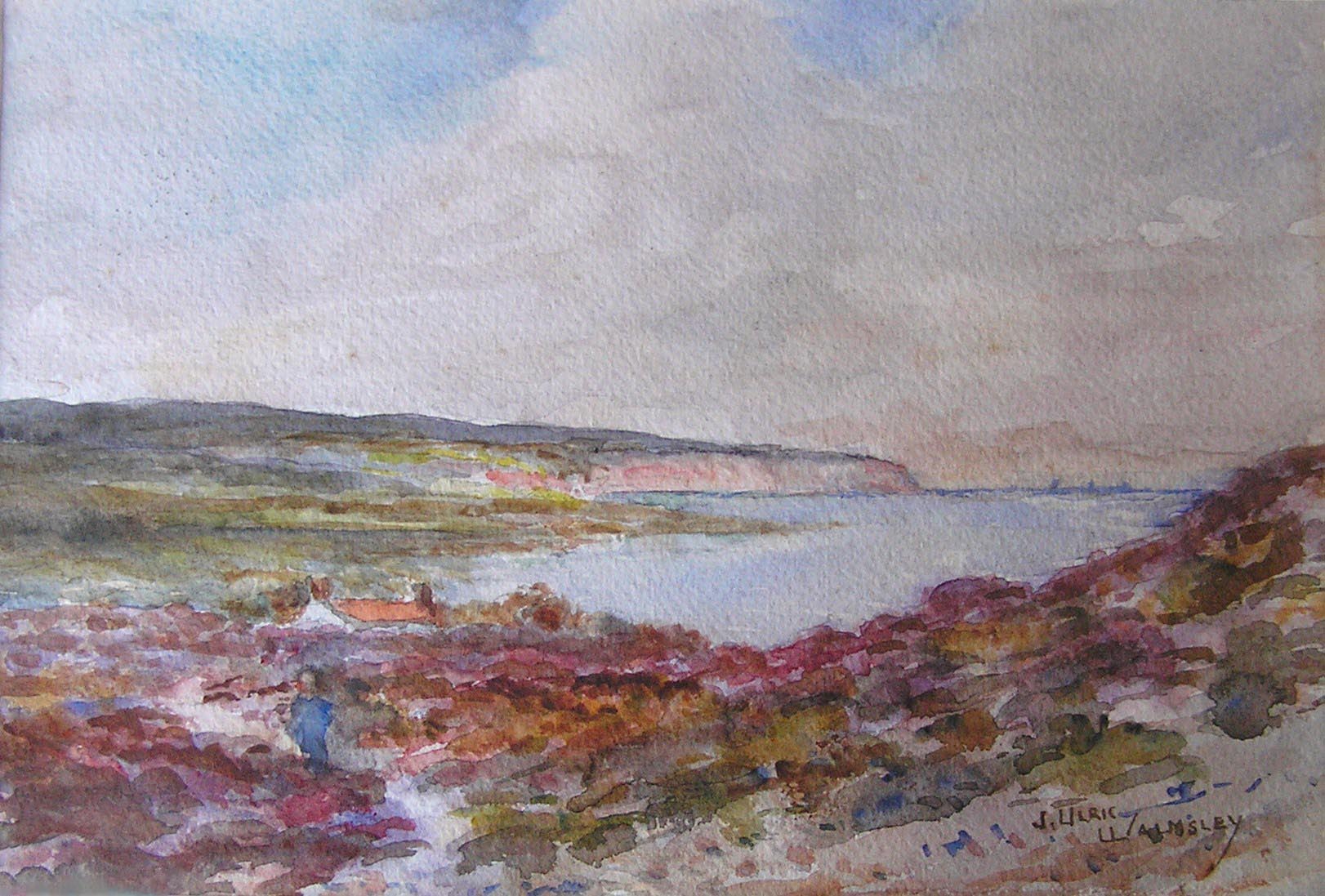 The moors and Ness