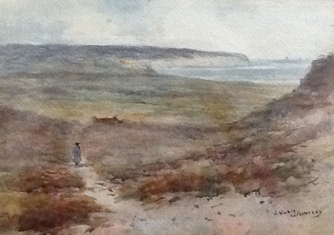 The moors and Ness