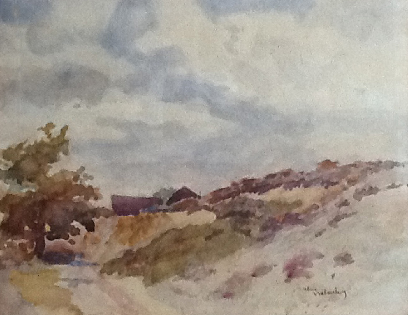 The moors
