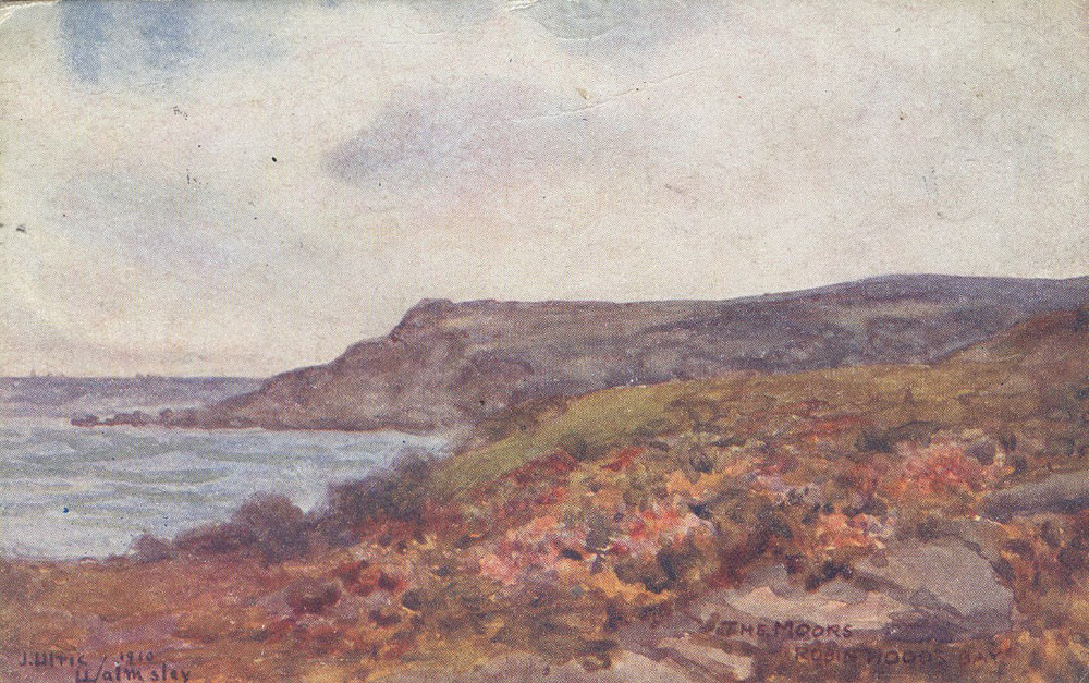The moors and Ravenscar