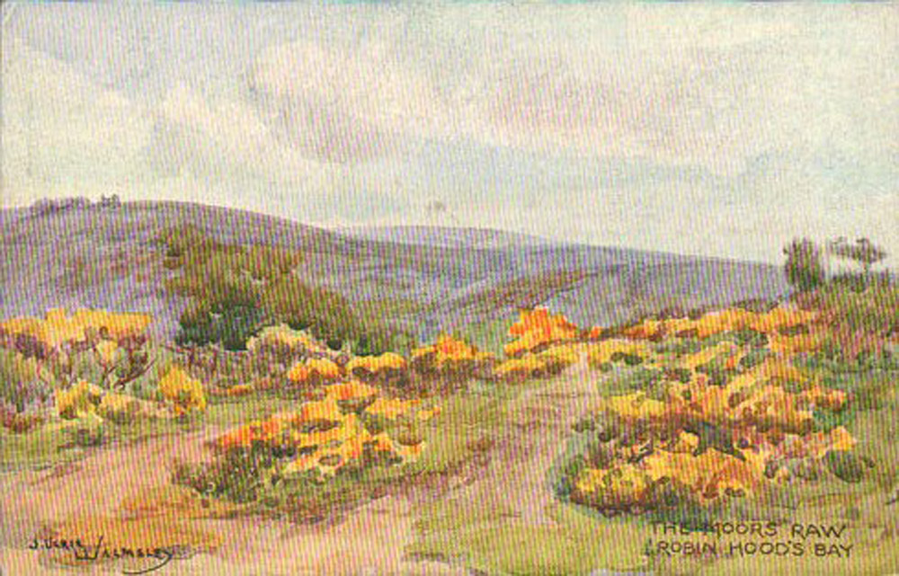 The moors, Rawr