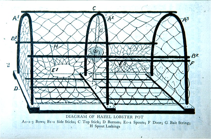 Leo's folding lobster pot